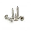 Easymech Ss 304 Sts Self Tapping Philips Head Screws